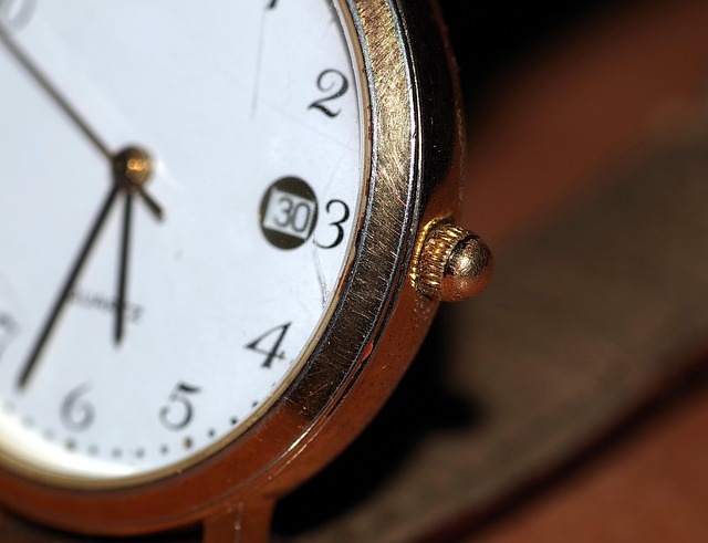 Фото: pixabay.com