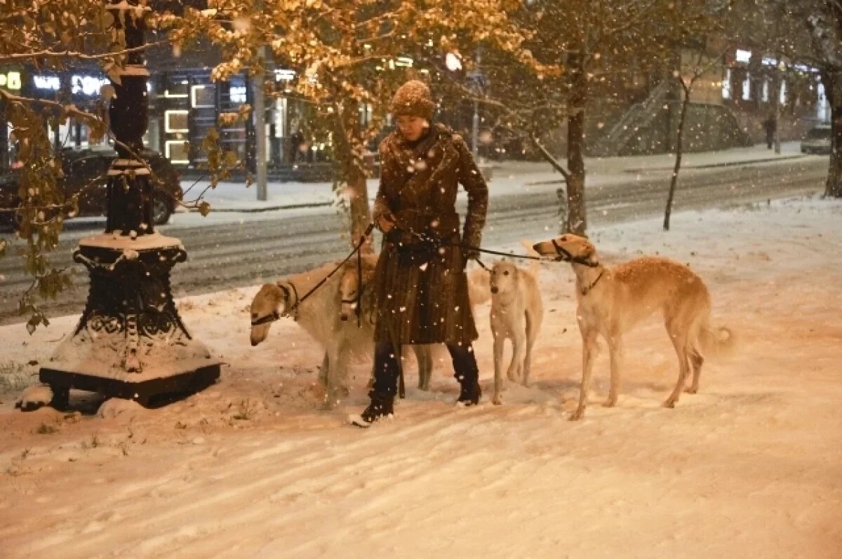    Небольшой снег и метель прогнозируют на Алтае 5 марта 2025