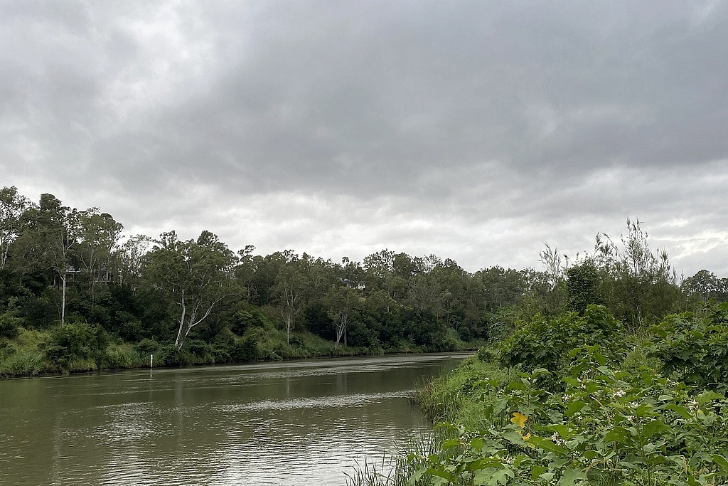 Сегодня утром, Река Брисбен на окраине города, Брисбен, Квинслэнд, Австралия; здесь и далее - фото из домашнего архива