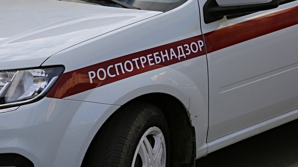    Фото: alleks19760526/Shutterstock/Fotodom