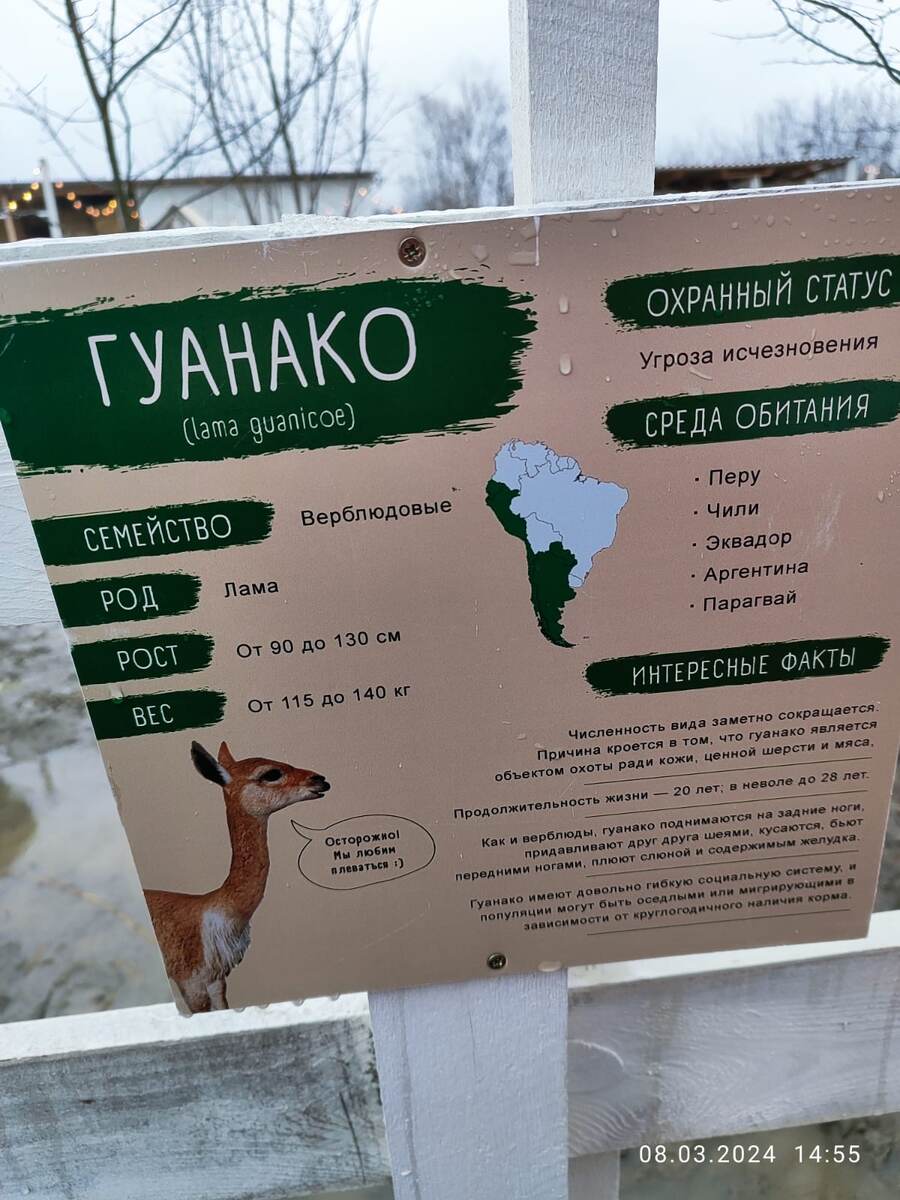 Описание животных