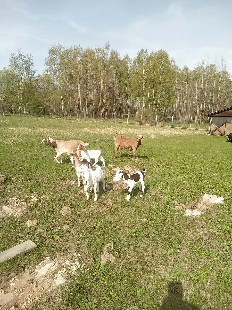 Фото автора.