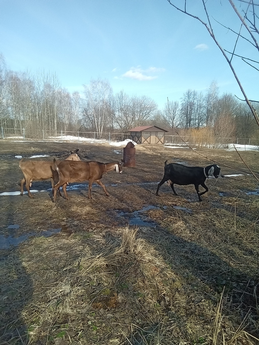 Фото автора.