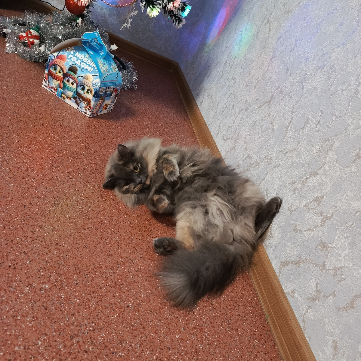 Мохнатая моя