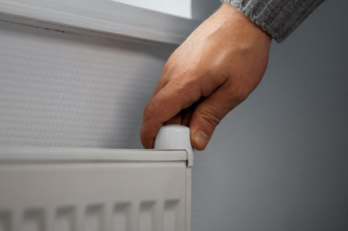    Фото: freepik.com