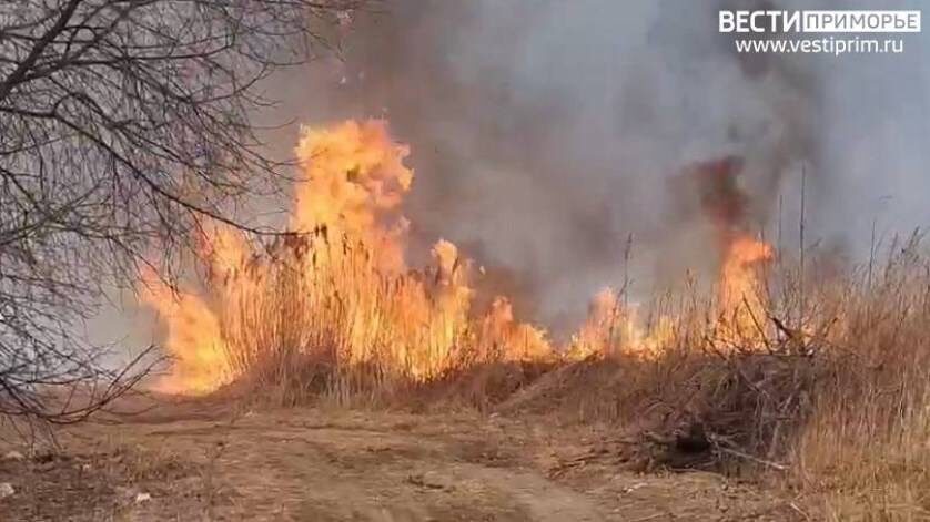    Источник фото: