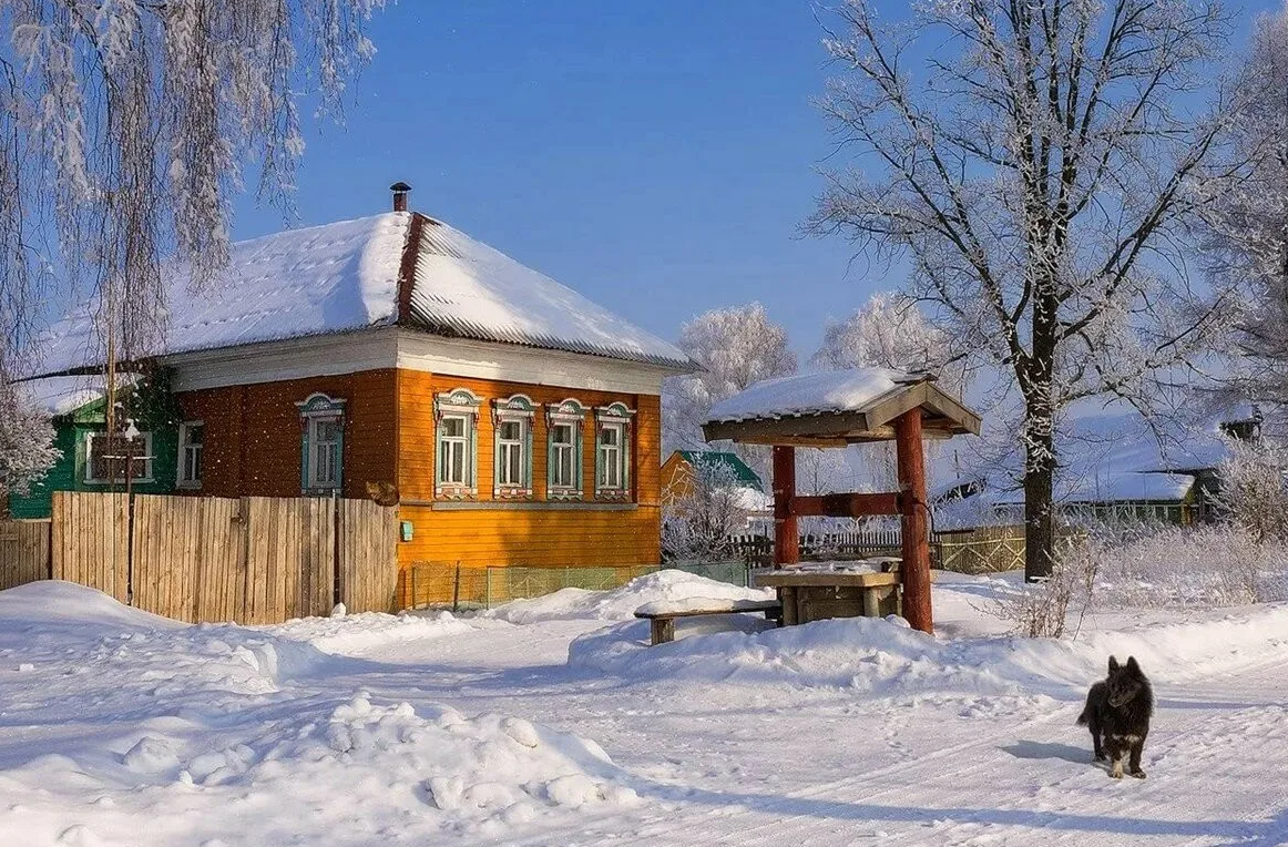 Яндекс картинки