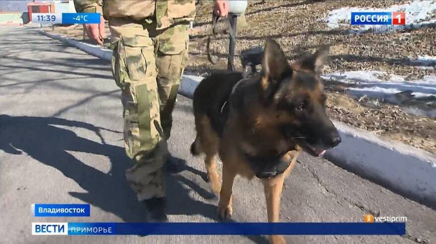    Источник фото: