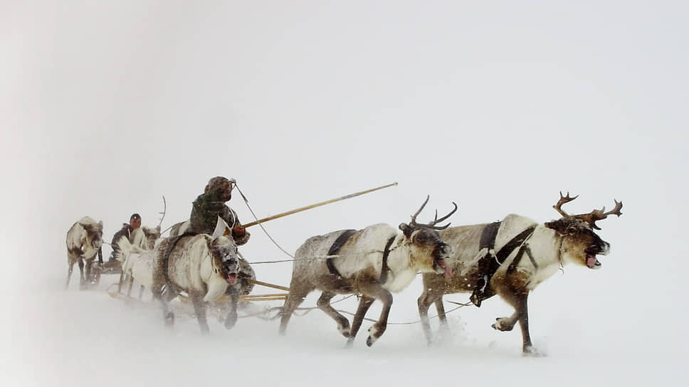 Фото: Олег Лазарев / Коммерсантъ