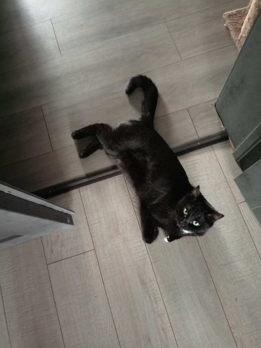 Где же ещё лечь ?