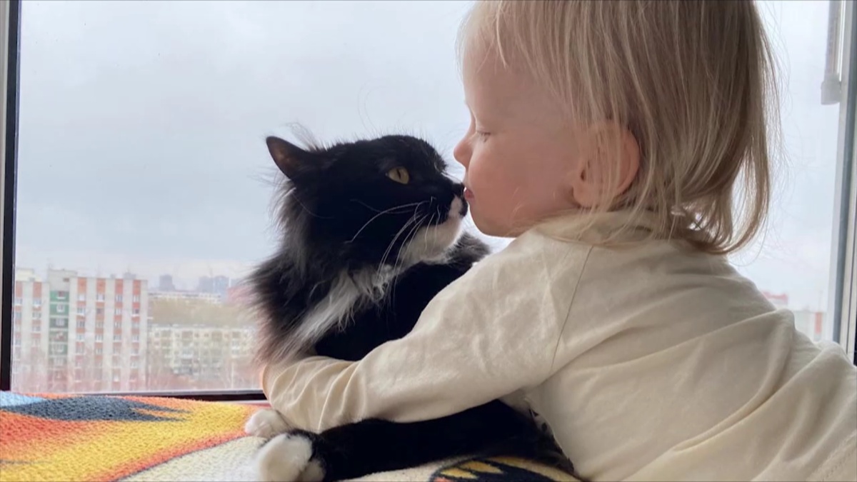 кадр из программы "Вечерний хэштег"