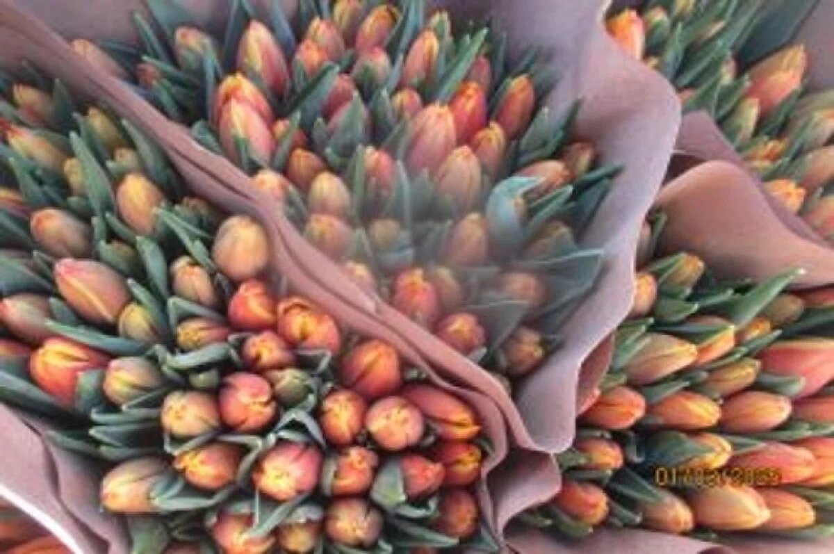    Более 4 млн цветов привезли в Челябинскую область из Китая к 8 марта