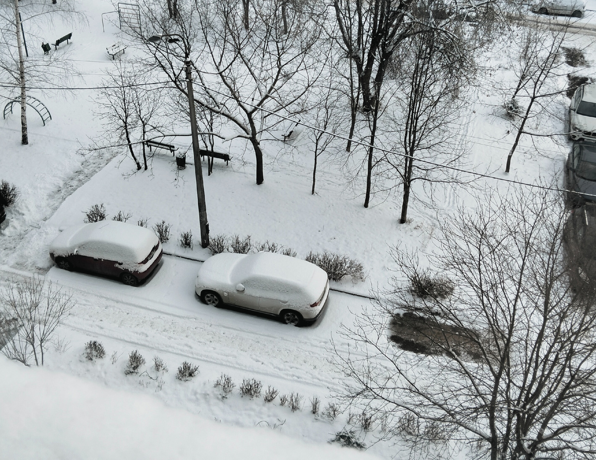 Снег выпал ночью!