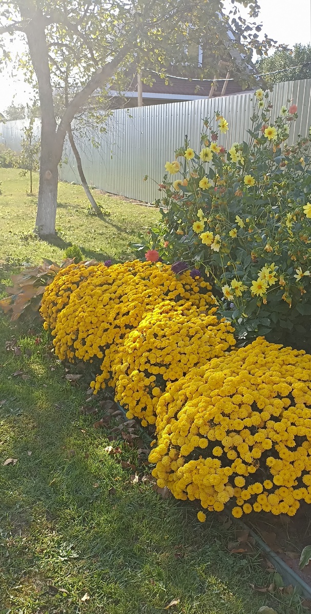 Октябрь 2024 года