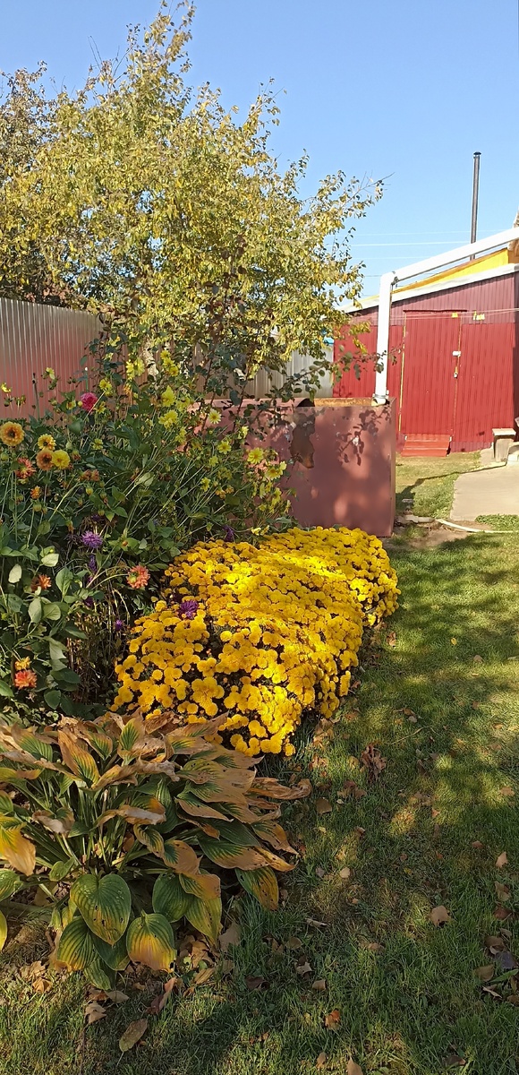 Конец сентября 2024г.