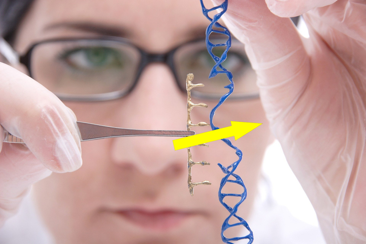    Клонирование себя: когда это станет реальностью?