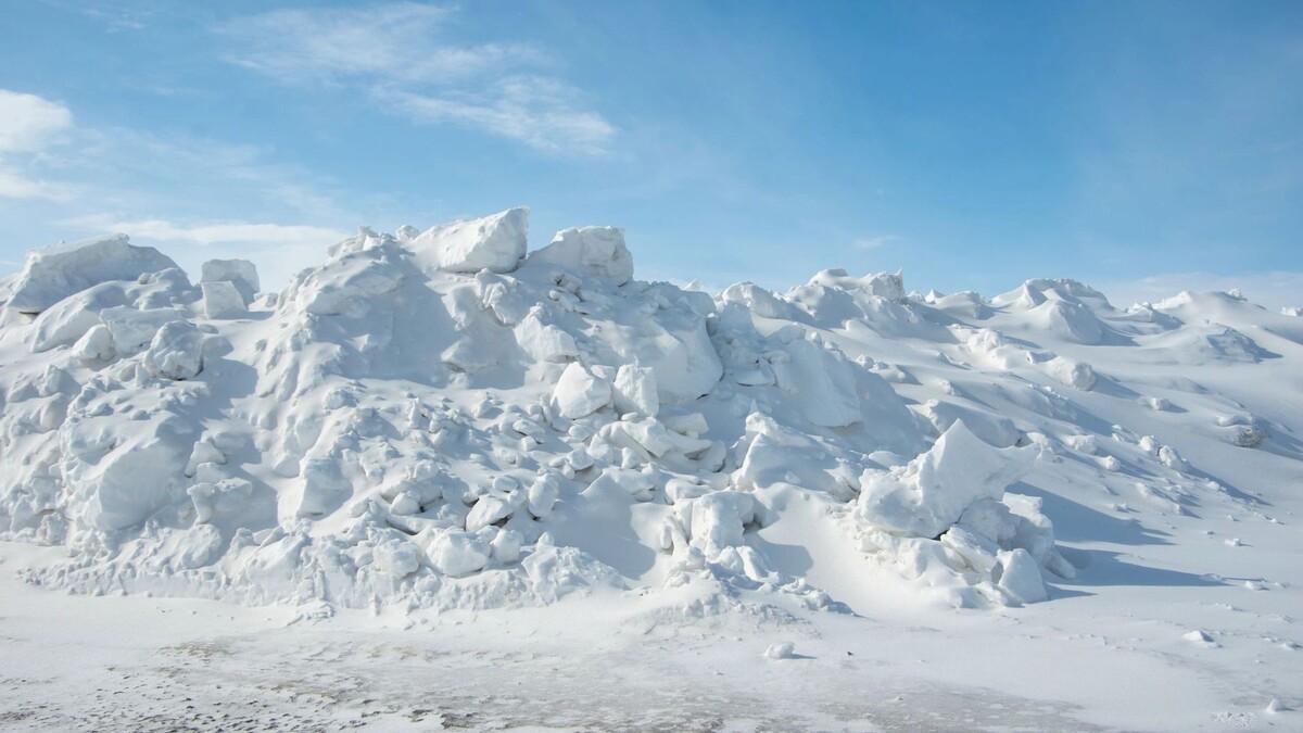    Фото: Alena Ivochkina/Shutterstock/Fotodom