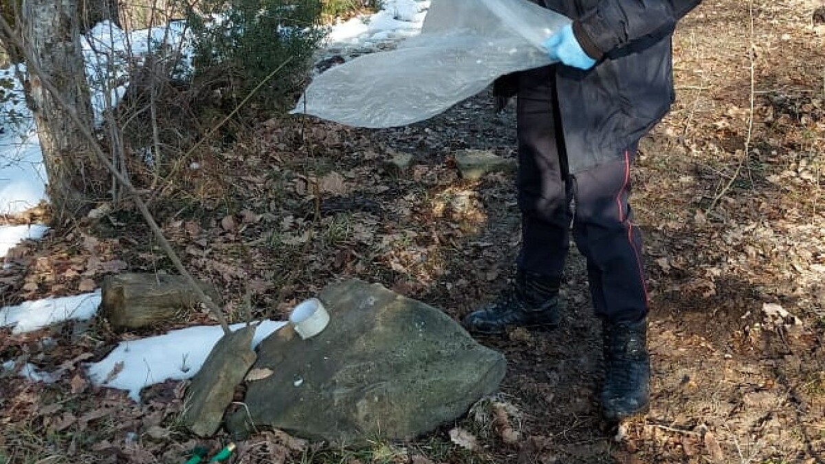    Фото: пресс-служба Сочинского нацпарка