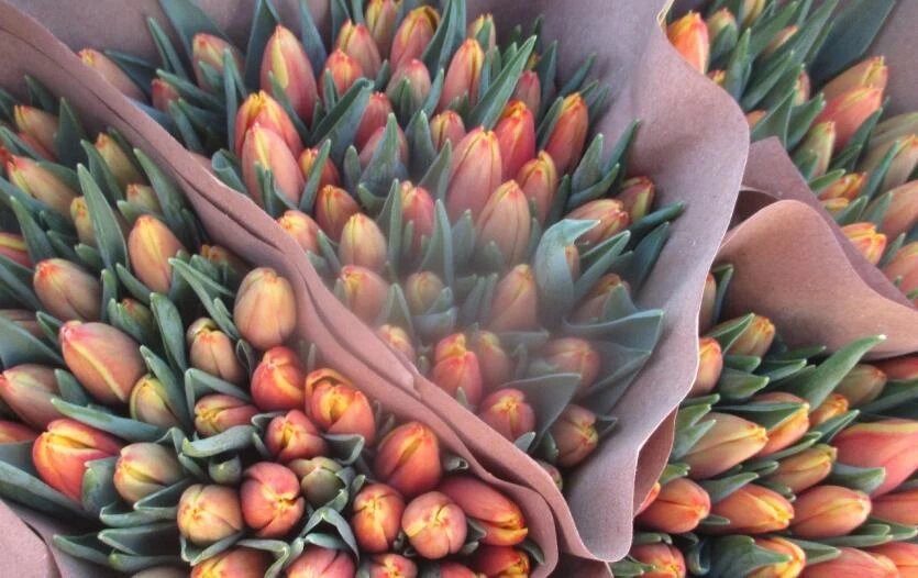 Фото: Уральское межрегиональное управление Россельхознадзора