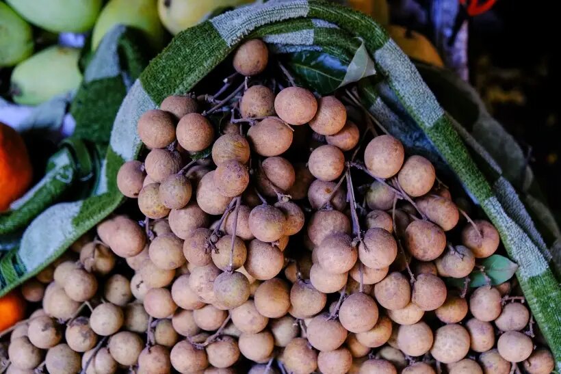     © РИА Новости. Павел Львов