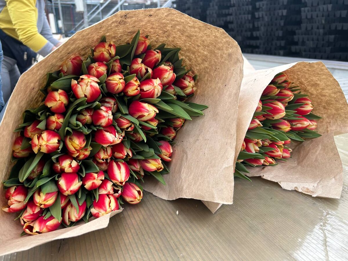     В преддверии 8 марта в Красноярский край привезли более 550 тысяч цветов