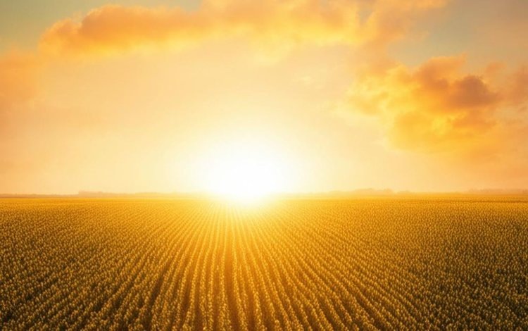    От глобального потепления хуже всего придется африканским странам, а северные регионы выиграют