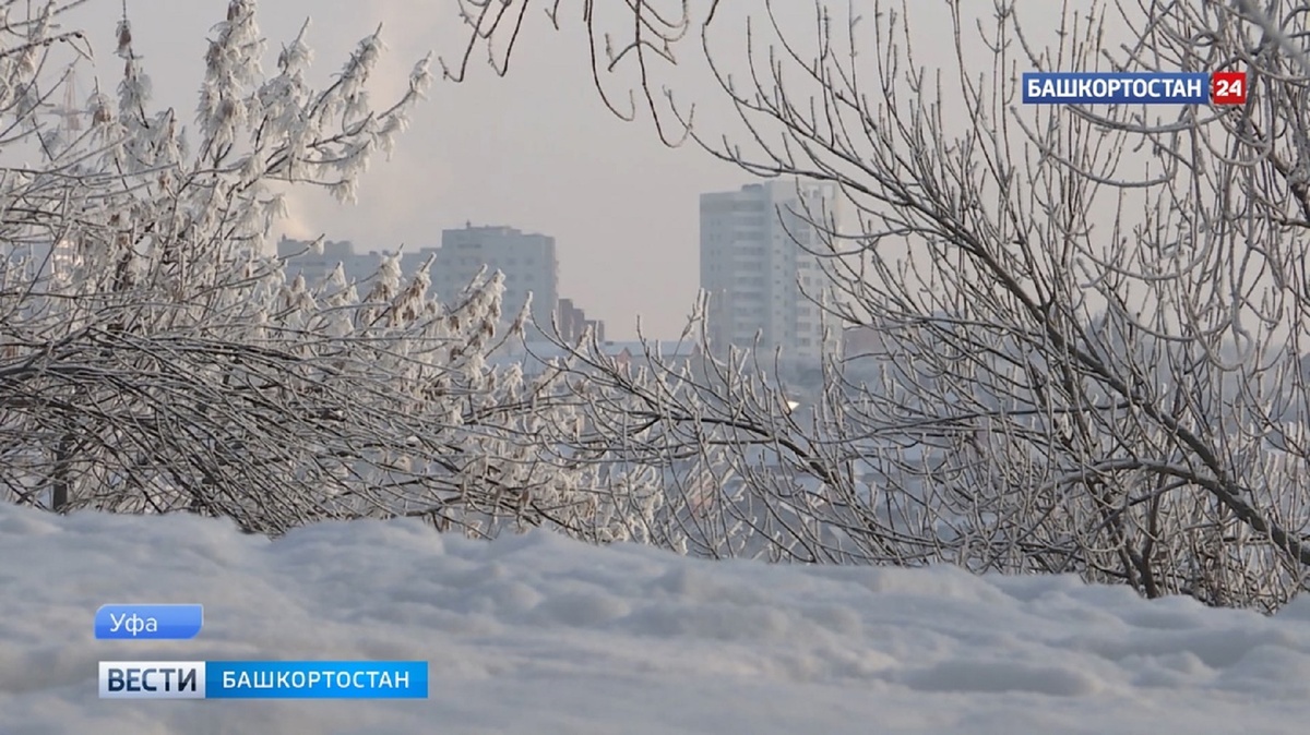    Погода в Башкирии на 5 марта: снегопад и гололед