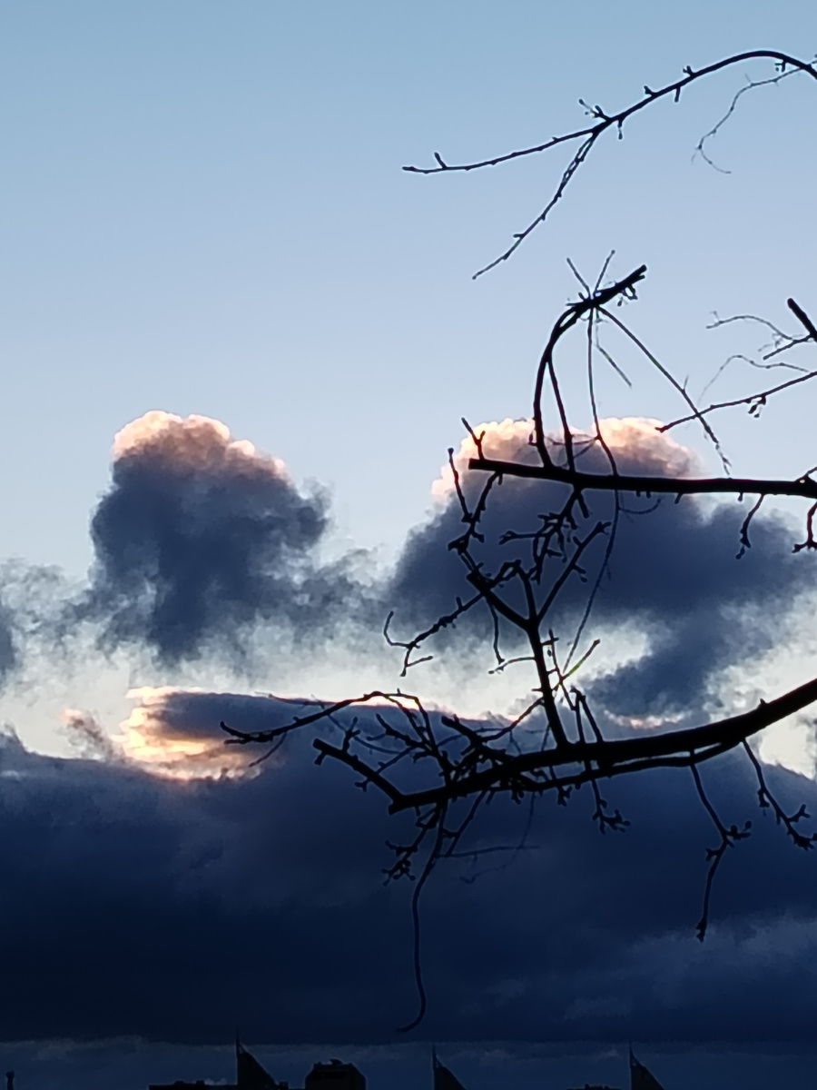 Совсем не радостный вид.