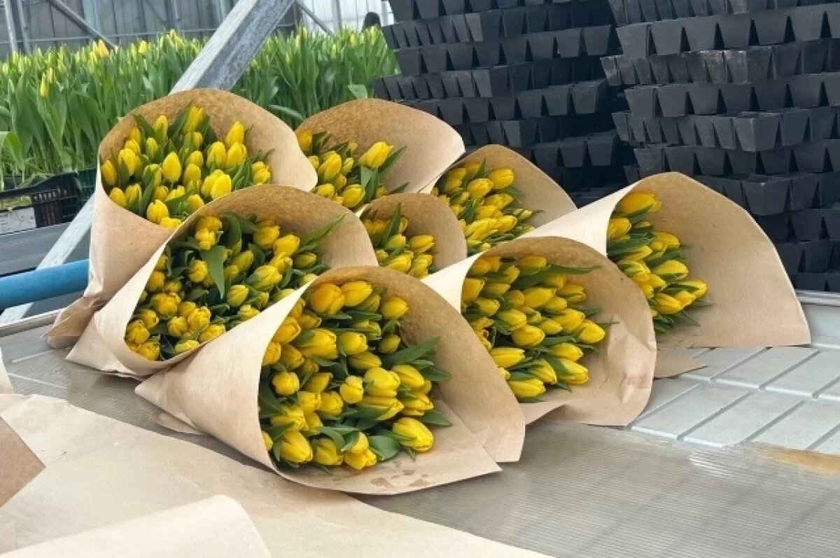    В Россельхознадзоре рассказали, откуда везут цветы в Красноярский край