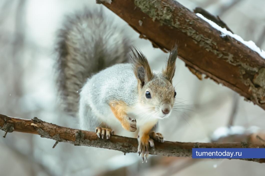  Фото Дениса Моргунова