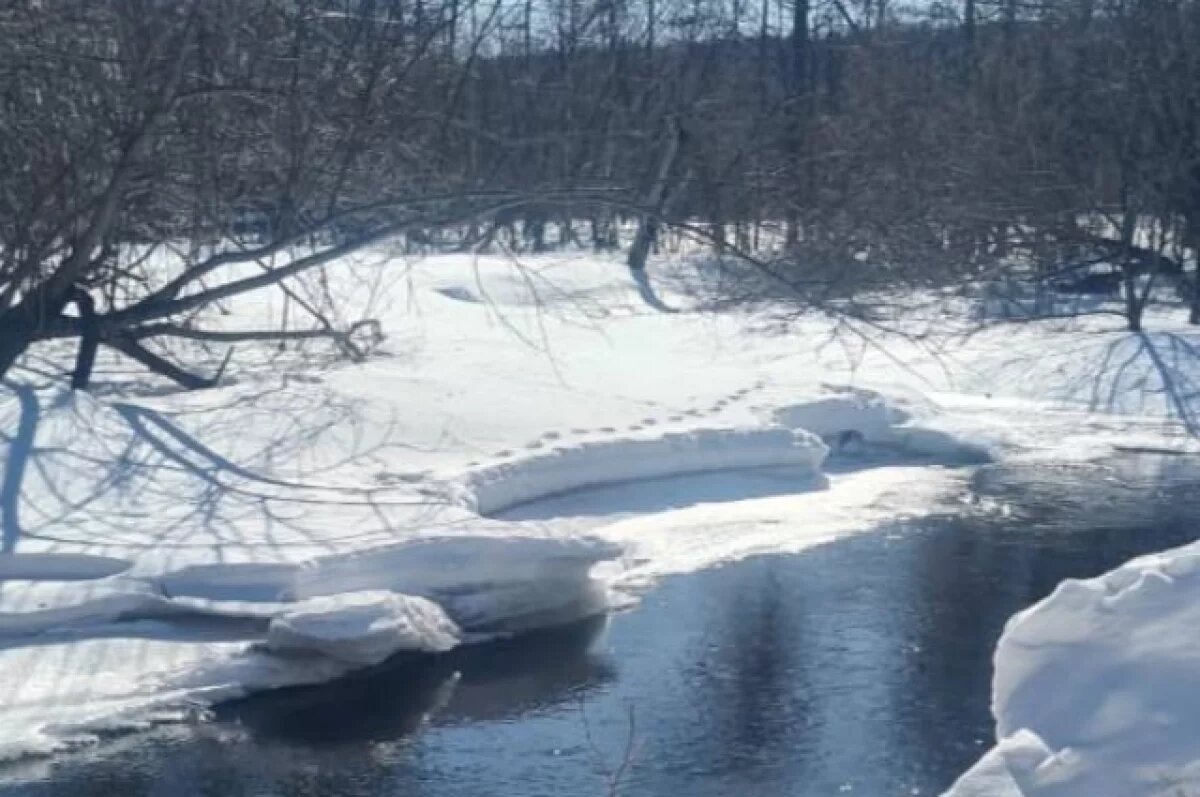    В Хабаровском крае строители перегородили нерестовую реку богатую рыбой