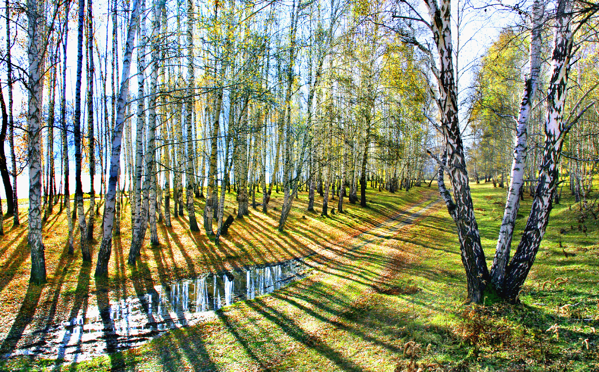 Фотография, стихотворение Василия Глуцкого