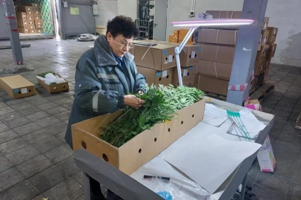    Приморье не дало ввезти в РФ 1700 заражённых цветов из Китая