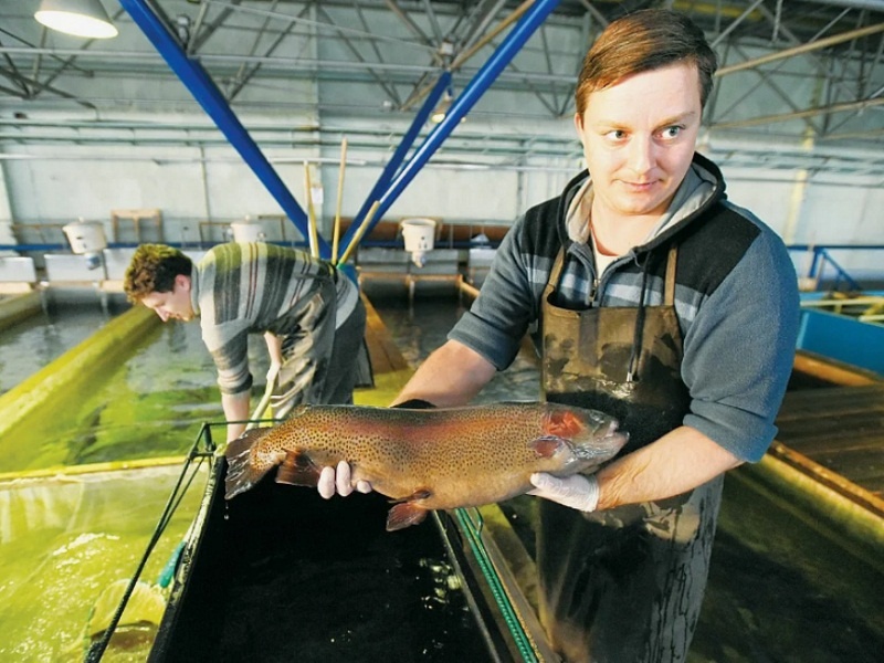 Молодой рыбовод