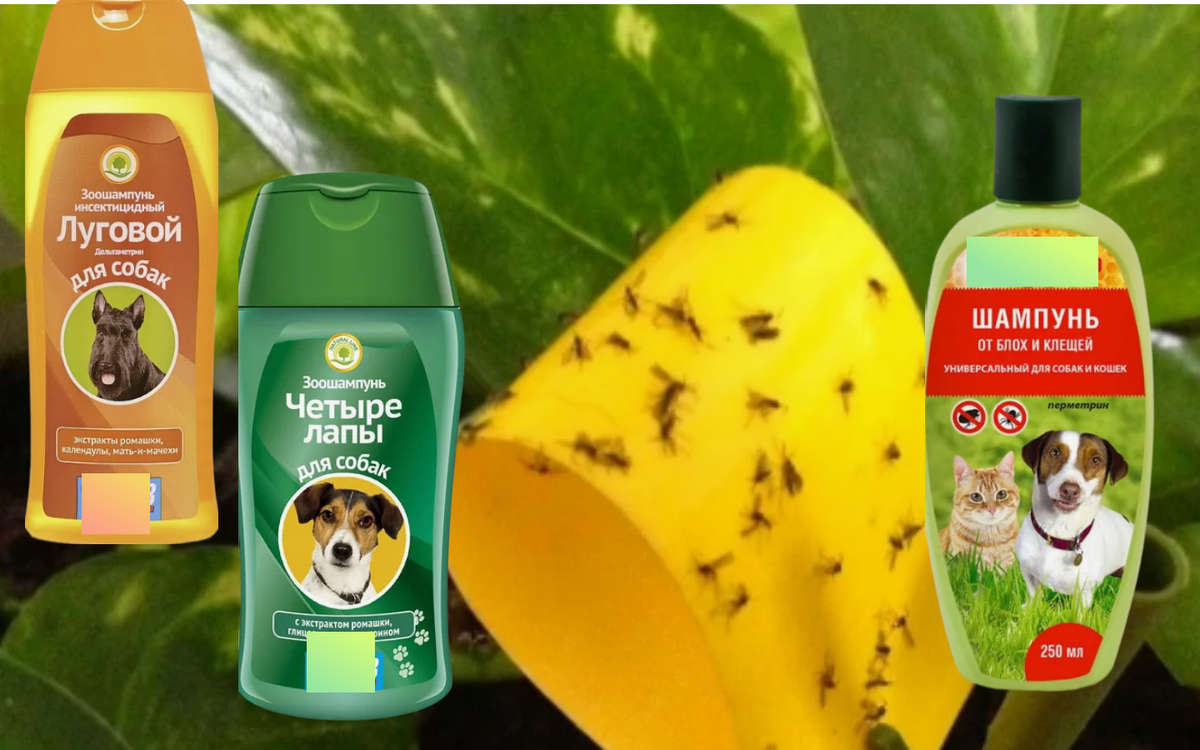 зоошампунь спасет от мошек