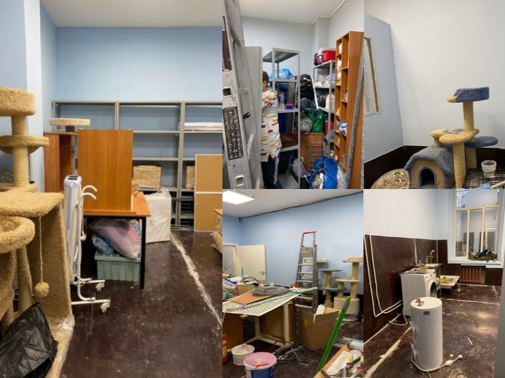 вещи прибыли на Трефолева