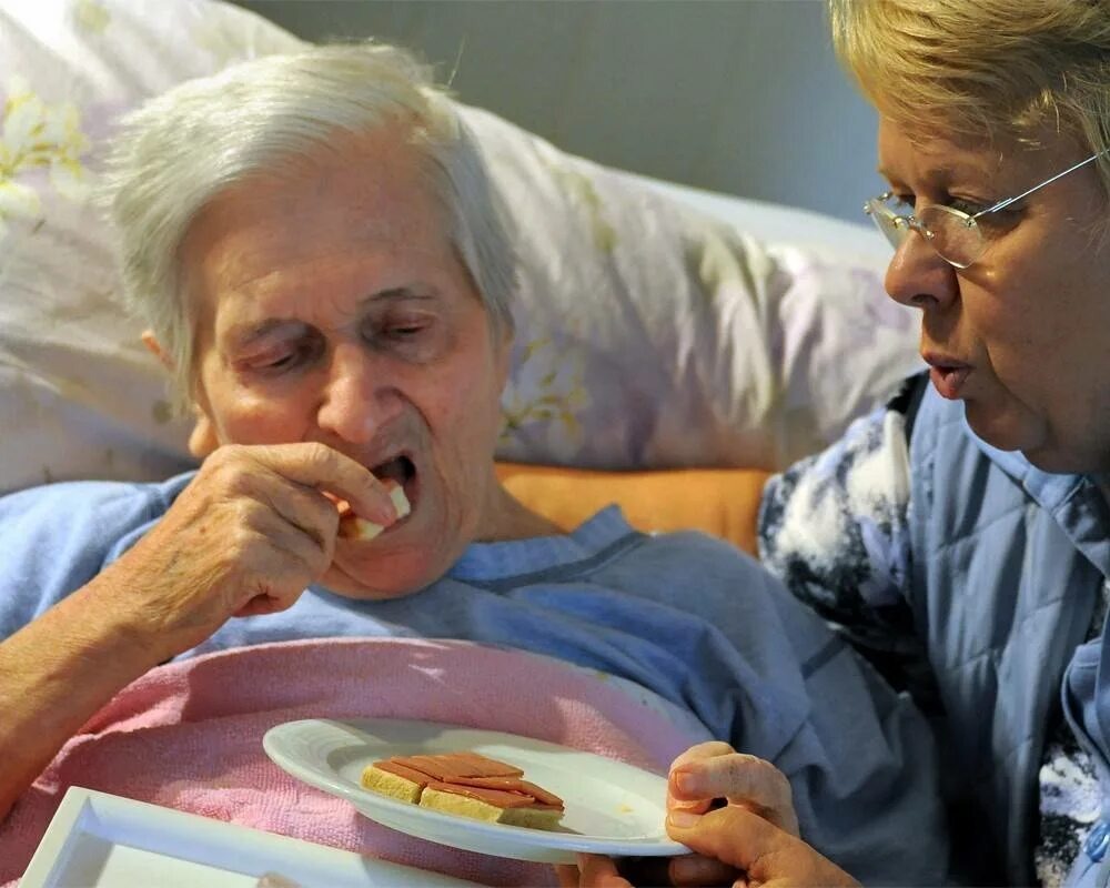 Картинка из открытого доступа.