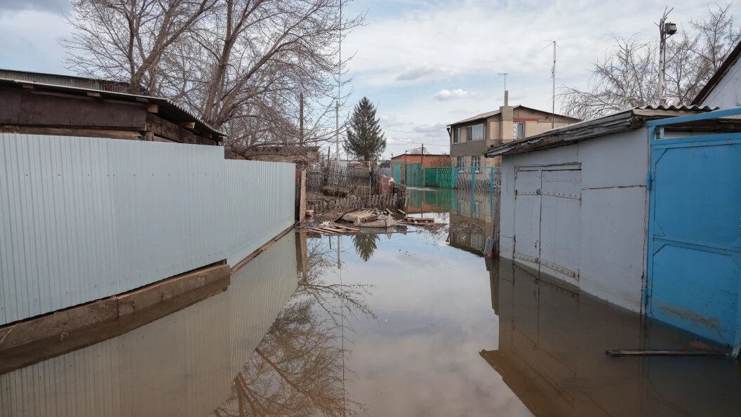    Фото: Andrey Titov/Globallookpress