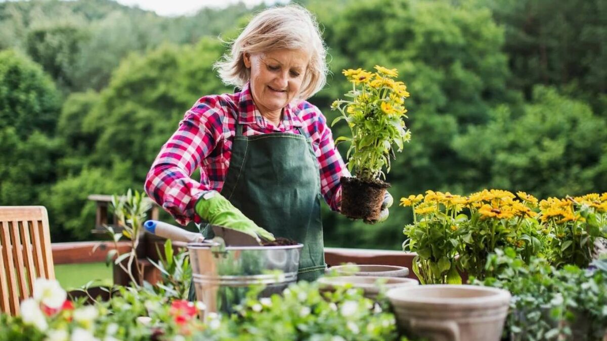 Садоводство
