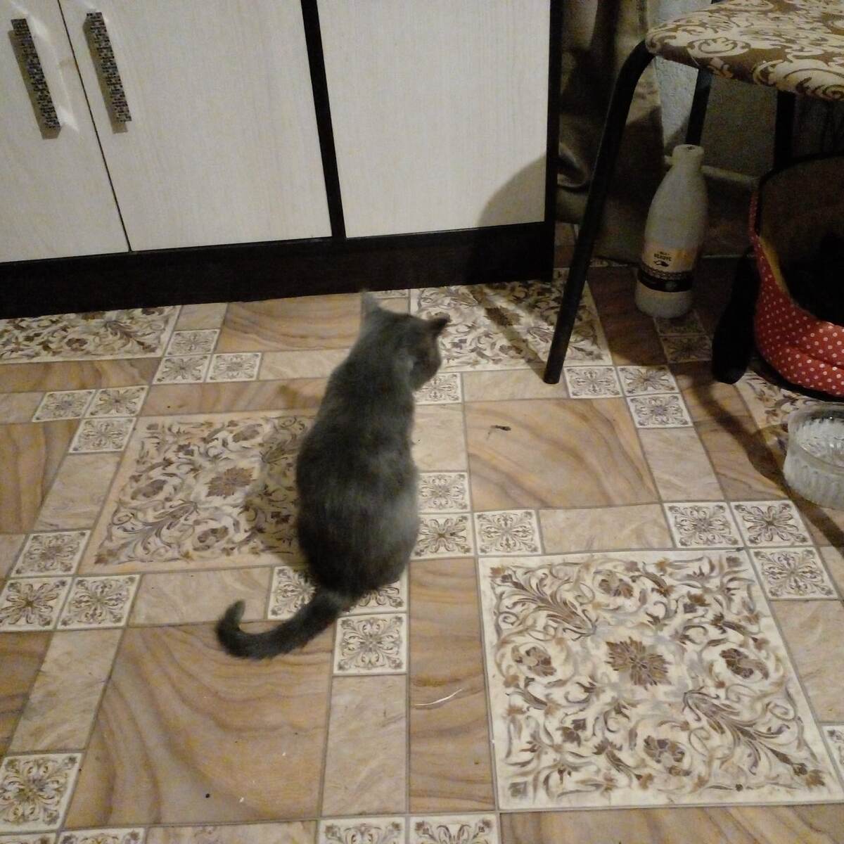 Дарис обиделся