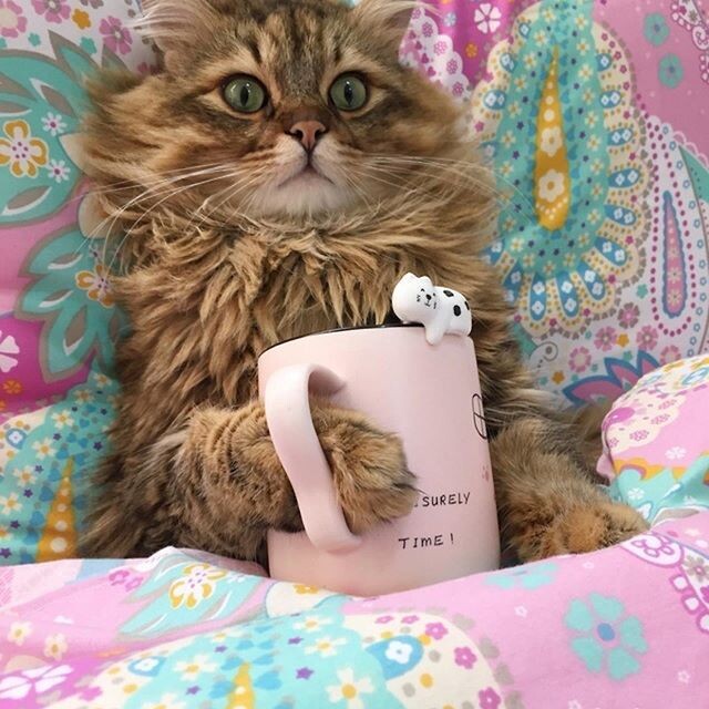 -Да что ты говоришь! Я слушаю, рассказывай, рассказывай!