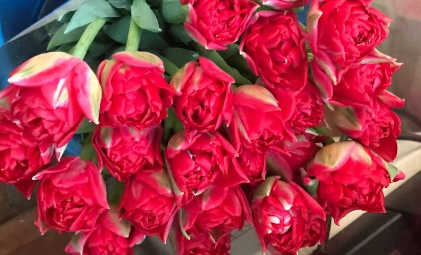    «Вести ПК».