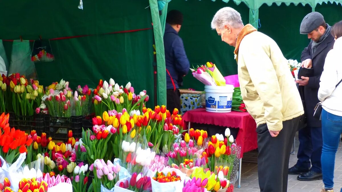     Источник: novostivolgograda.ru