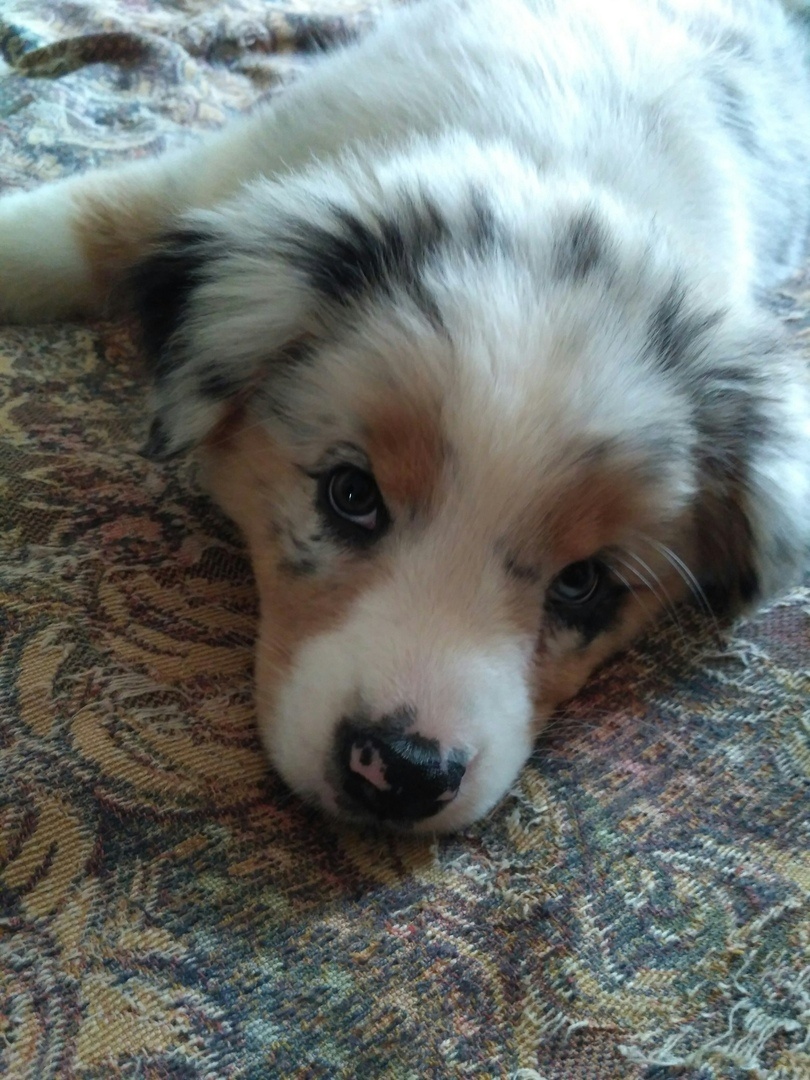 Глаза со стрелочками