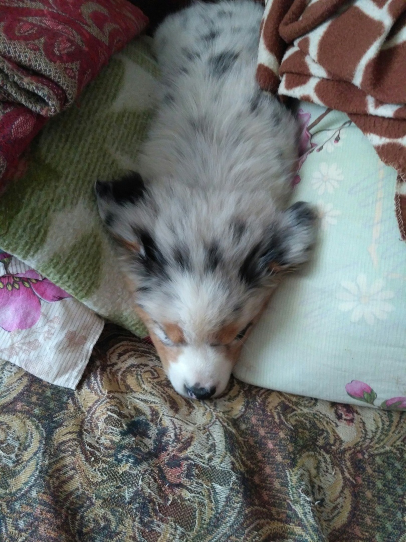 Барские замашки видно сразу