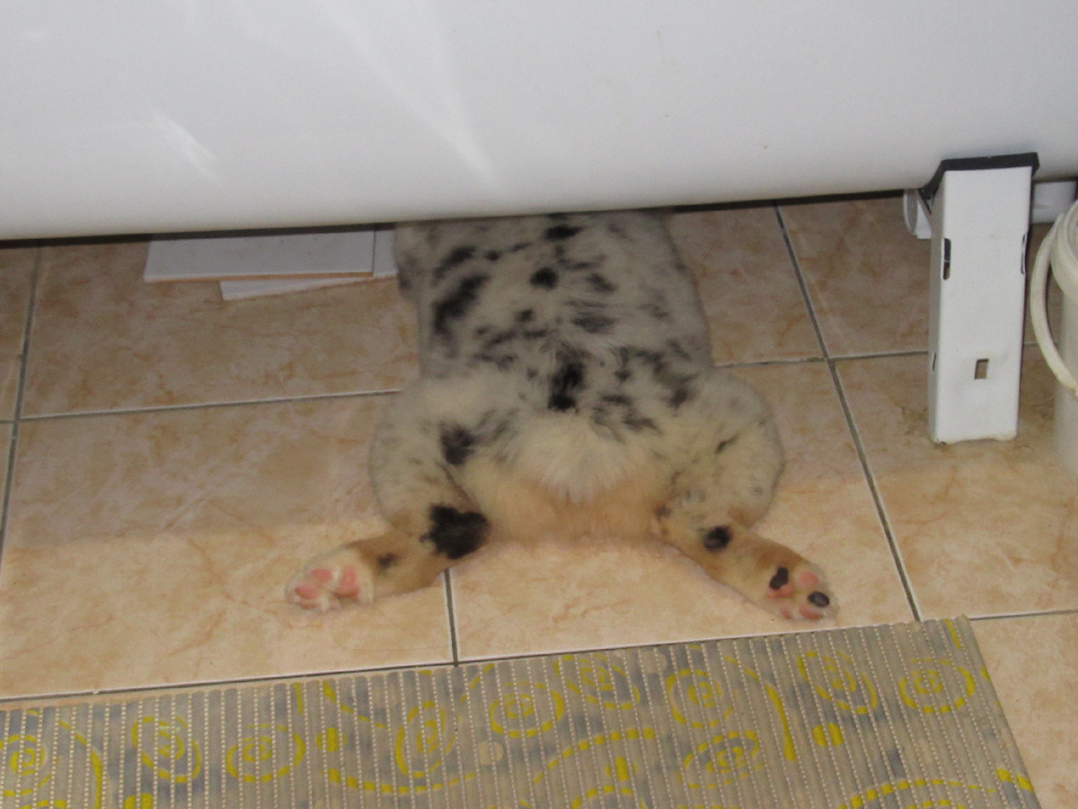 Коврик для ванной