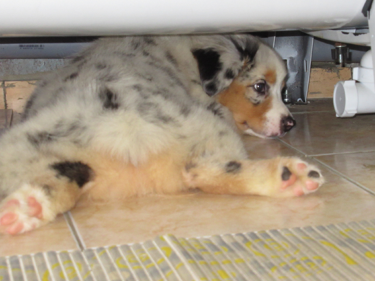 Удобненько, прохладненько и никто не пристает