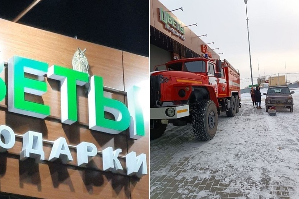    Пять дней сова провела без еды и воды на морозе / Фото: Евгения Манжелеевская