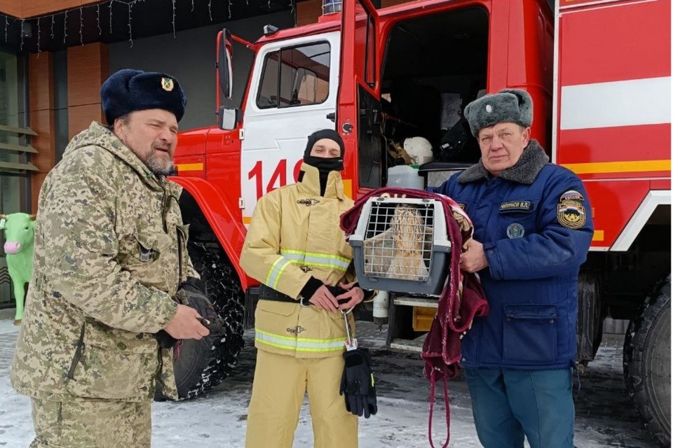   Пожарные-спасатели освободили ушастую сову. Фото: Центр по делам ГО, ПБ и ЧС