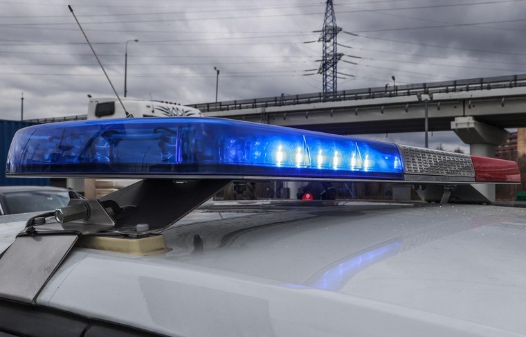    Сергей Булкин/NEWS.ru